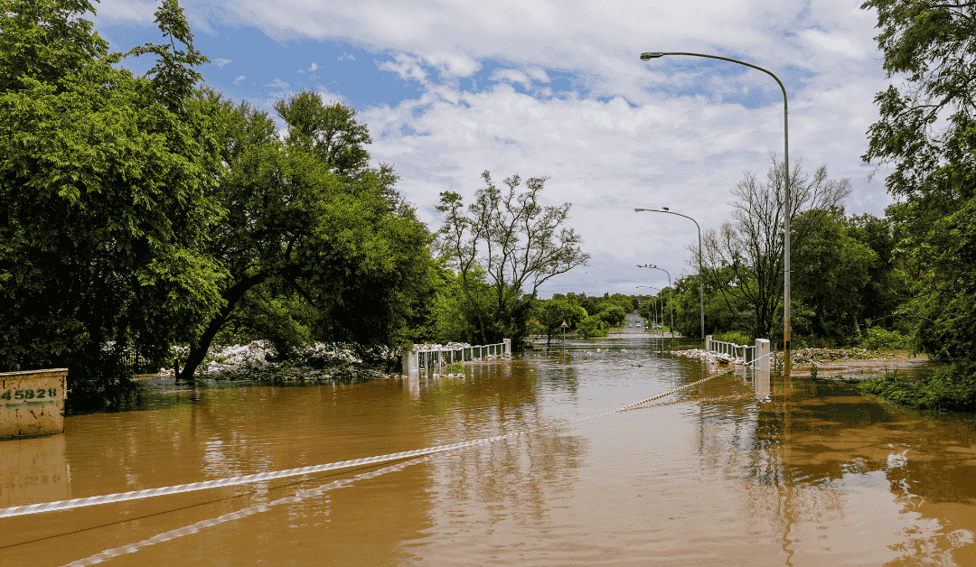Protecting Pets During Floods in Durham