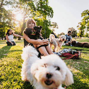 Barktoberfest: Safety Tips for Durham's Favorite Pet-Friendly Event - people at Barktoberfest with their dogs