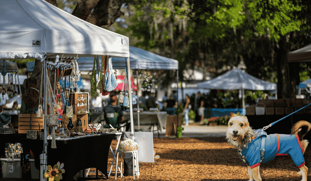 More Dog-Friendly Halloween Events in Durham Plus Costume Tips