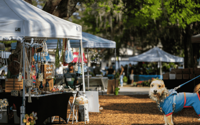 More Dog-Friendly Halloween Events in Durham Plus Costume Tips