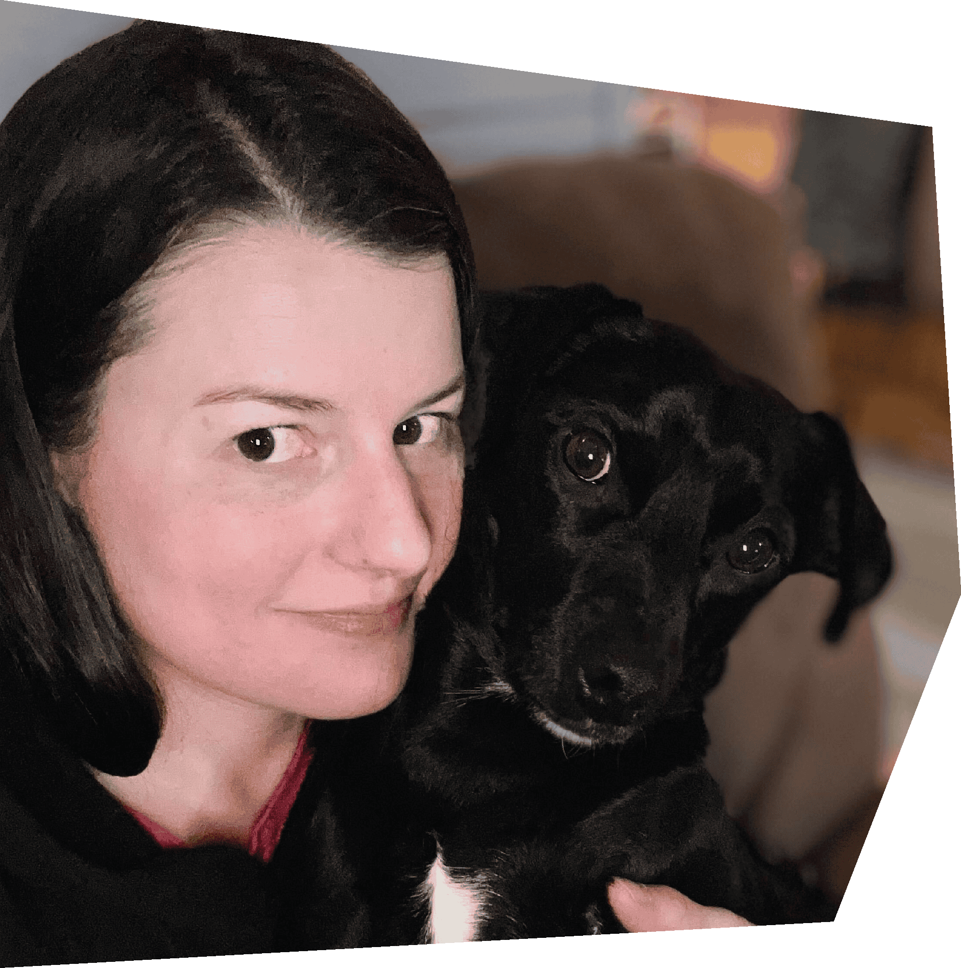 chihuahua with a mohawk placeholder