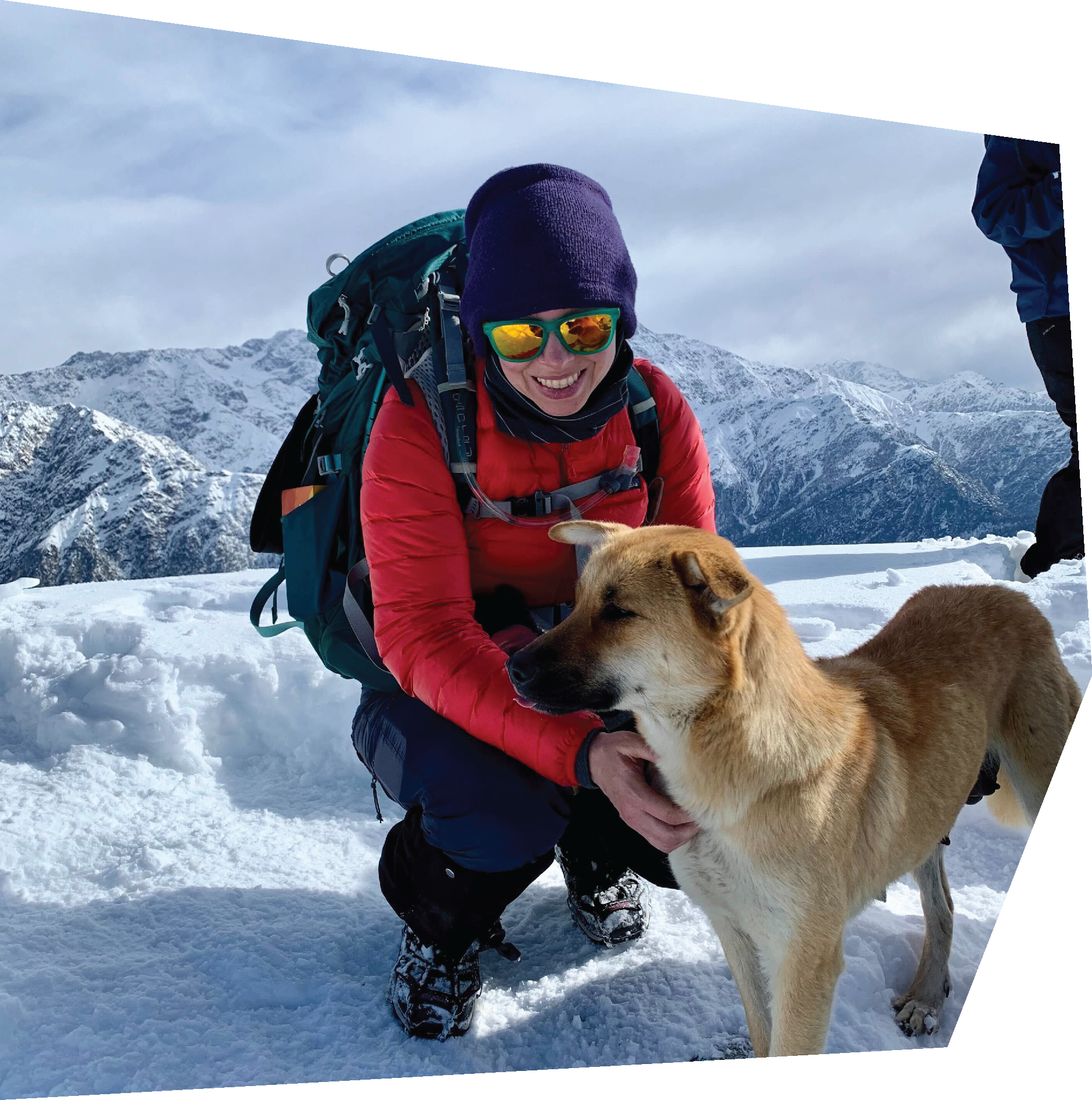 woman on icy mountain top with dog