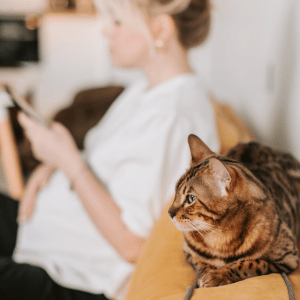 cat lover with cat in Durham, NC