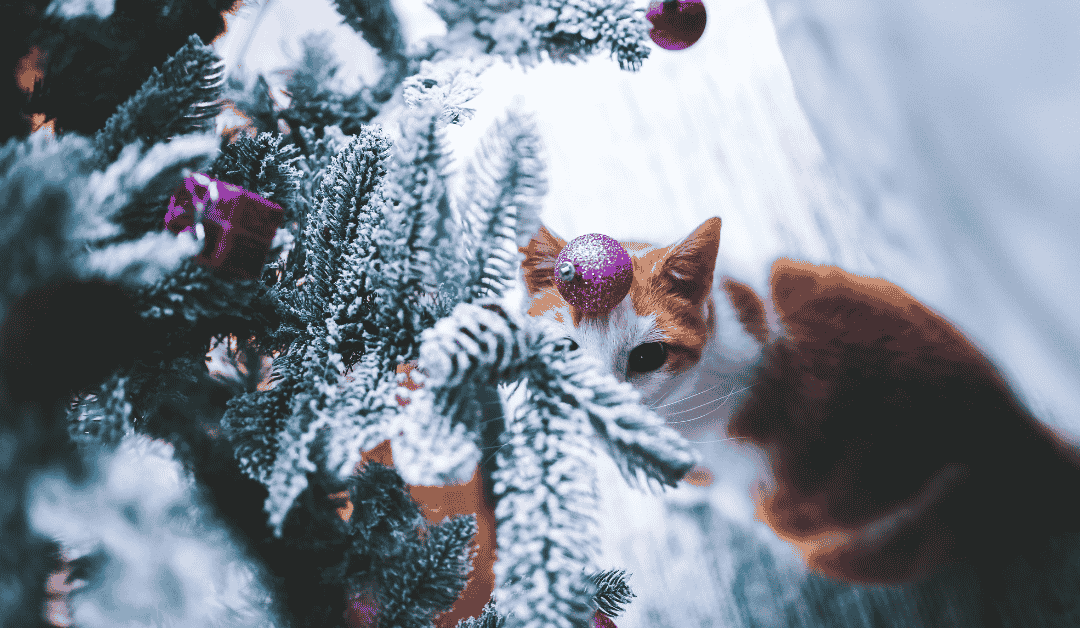 Top 3 Tips for a Stress-Free Holiday Season in Durham