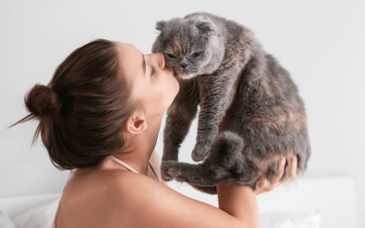 Why the Kid Next Door Is Not a Pet Sitter